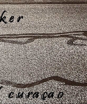 Some walks are longer than others...